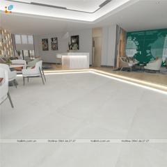 Ảnh Gạch Tây Ban Nha HL612127 2