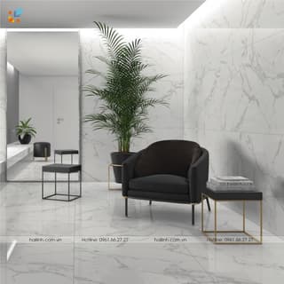 Ảnh Gạch Tây Ban Nha HL99141 4