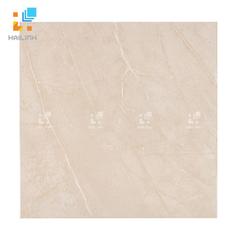 Ảnh Gạch Tây Ban Nha HL6645B 1