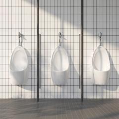 Ảnh Bồn tiểu nam Viglacera T9  4