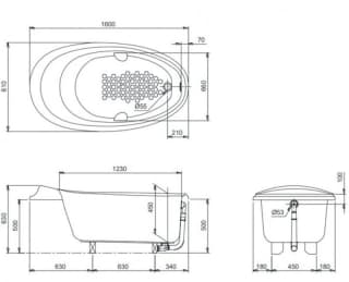 Ảnh Bồn tắm Ngọc Trai TOTO PPY1610HPTE#P 2