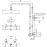 Sen tắm cây TOTO TBW08406A 2