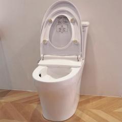 Ảnh Bồn cầu 2 khối TOTO CS986GE4 3