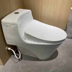 Ảnh Bồn cầu điện tử TOTO MS823CDRW12 3