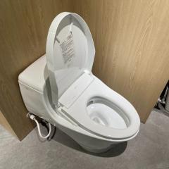 Ảnh Bồn cầu điện tử TOTO MS823CDRW12 4