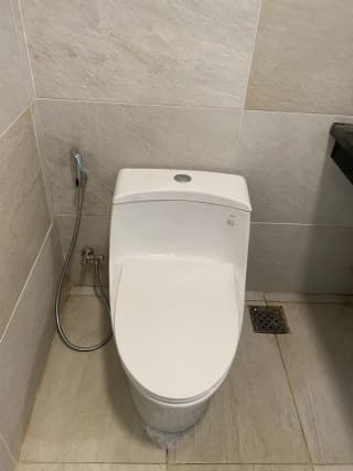 Ảnh Bồn cầu 1 khối TOTO MS823DRT8 3