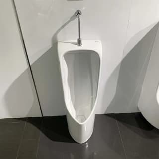 Ảnh Bồn tiểu nam đặt sàn TOTO UT508T 3