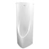 Bồn tiểu nam treo tường TOTO USWN900A/HHF90603 1