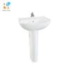 Chậu rửa treo tường TOTO LPT236CS 1