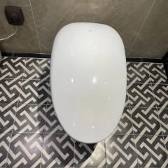 Ảnh Bồn cầu thông minh TOTO CS902VT/T53P100VR 4