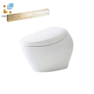 Bồn cầu điện tử TOTO CS901VTNW1_T53P100VR