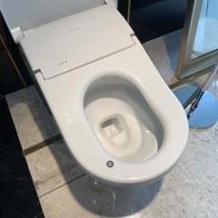 Ảnh Bồn cầu thông minh TOTO CS911VT/TCF87320GAA/T53P100VR 4