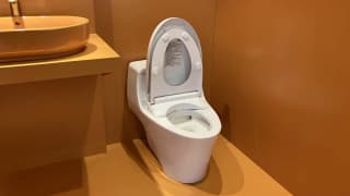 Ảnh Bồn cầu điện tử TOTO MS823CDRW23 5