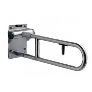 Ảnh Tay vịn nhà tắm TOTO T113HK7R/T110D17S 1