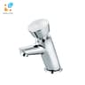 Vòi chậu 1 đường lạnh TOTO DL102 1