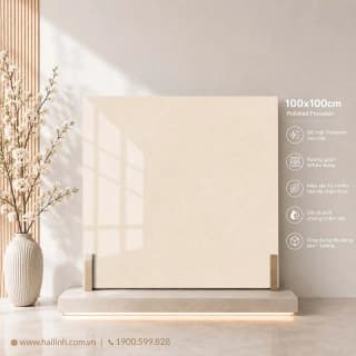Ảnh Gạch Ấn Độ CSI100200B 2