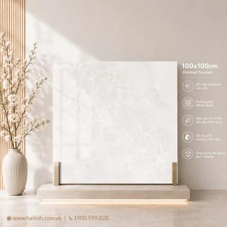 Ảnh Gạch Ấn Độ CSI100206B 2