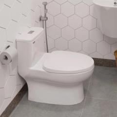 Bồn cầu 1 khối Sanfi S309