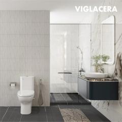 Ảnh Bồn cầu 1 khối Viglacera V848 4