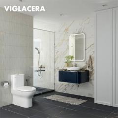 Ảnh Bồn cầu 1 khối Viglacera V848 3