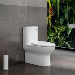 Bồn cầu 1 khối Viglacera V848