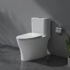 Bồn cầu 1 khối Viglacera V63