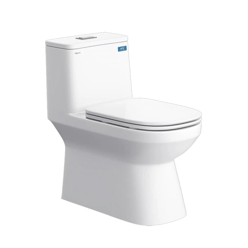 Bồn cầu 1 khối Viglacera V816