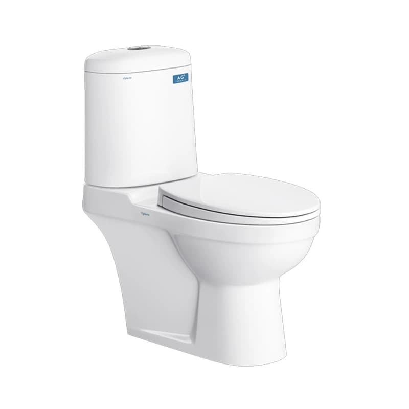 Bồn cầu 2 khối Viglacera VI107