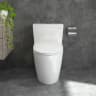 Bồn cầu 1 khối Viglacera P355 (P.11.320) 3