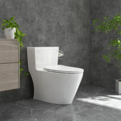 Bồn cầu 1 khối Viglacera P355 (P.11.320)