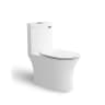 Bồn cầu 1 khối Sanfi S302 1