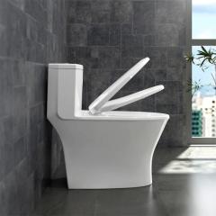 Ảnh Bồn cầu 1 khối Sanfi S303 4