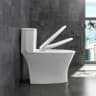 Bồn cầu 1 khối Sanfi S303 4