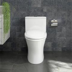 Bồn cầu 1 khối Sanfi S303