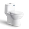 Ảnh Bồn cầu 1 khối Viglacera BL5V 1