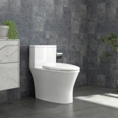 Bồn cầu 1 khối Viglacera V803