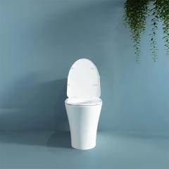 Ảnh Bồn cầu 1 khối Viglacera V829 3