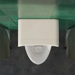 Ảnh Bồn tiểu nam Viglacra TD4 5