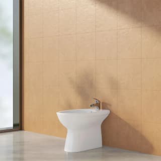 Ảnh Bồn tiểu nữ Viglacera VB5 6