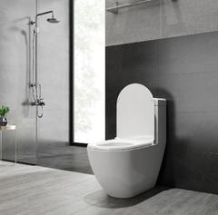 Ảnh Bồn cầu 1 khối Viglacera V199 2