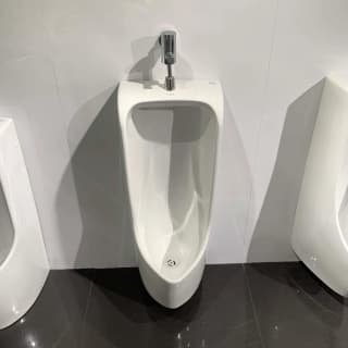 Ảnh Tiểu nam treo tường TOTO UT500T 4