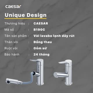 Ảnh Vòi chậu 1 đường lạnh Caesar B190C 2