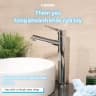 Vòi chậu 1 đường lạnh Caesar B191C 3