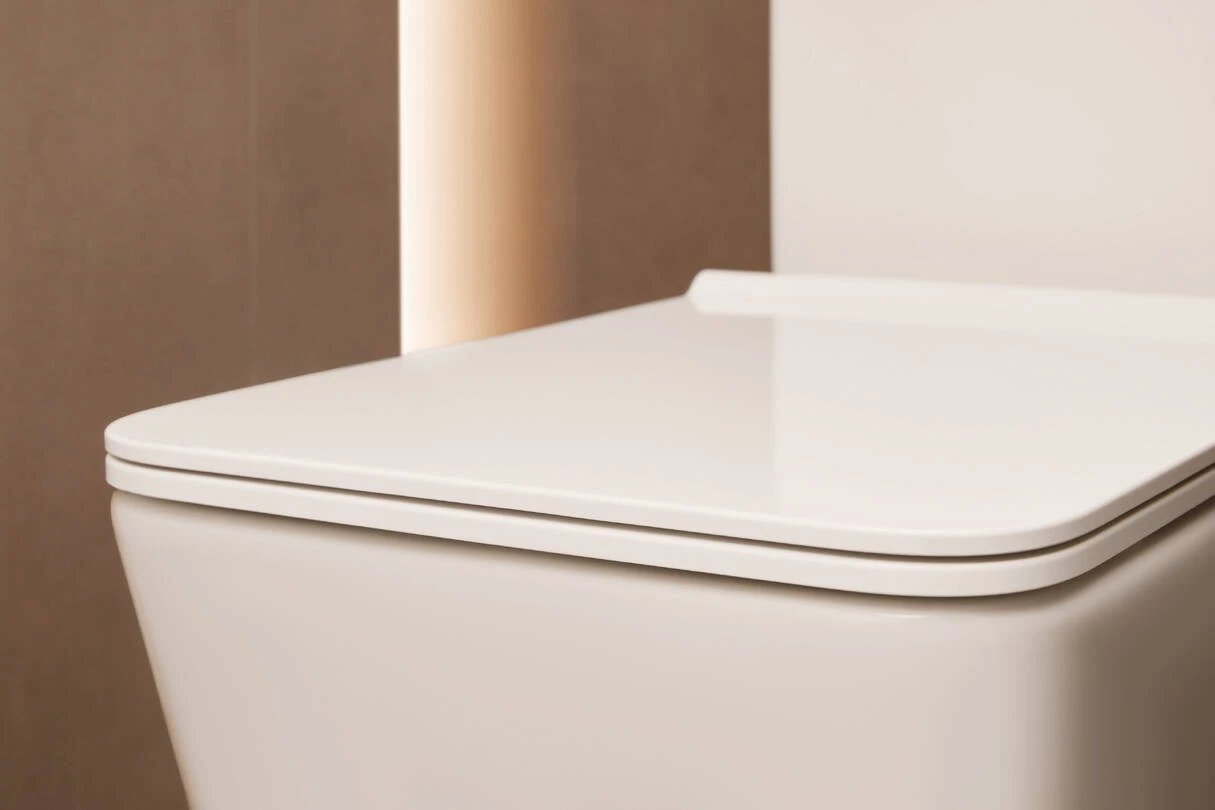 Ảnh Bồn cầu 1 khối Hansgrohe 22434007/22436007 4