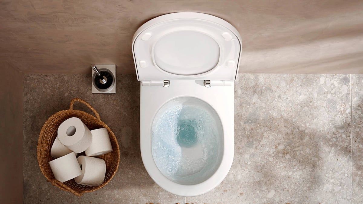 Ảnh Bồn cầu 1 khối Hansgrohe 22431007/22433007 3