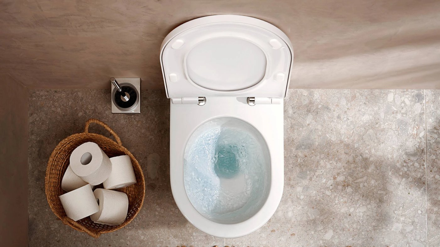 Ảnh Bồn cầu 1 khối Hansgrohe 22431007/22433007 3