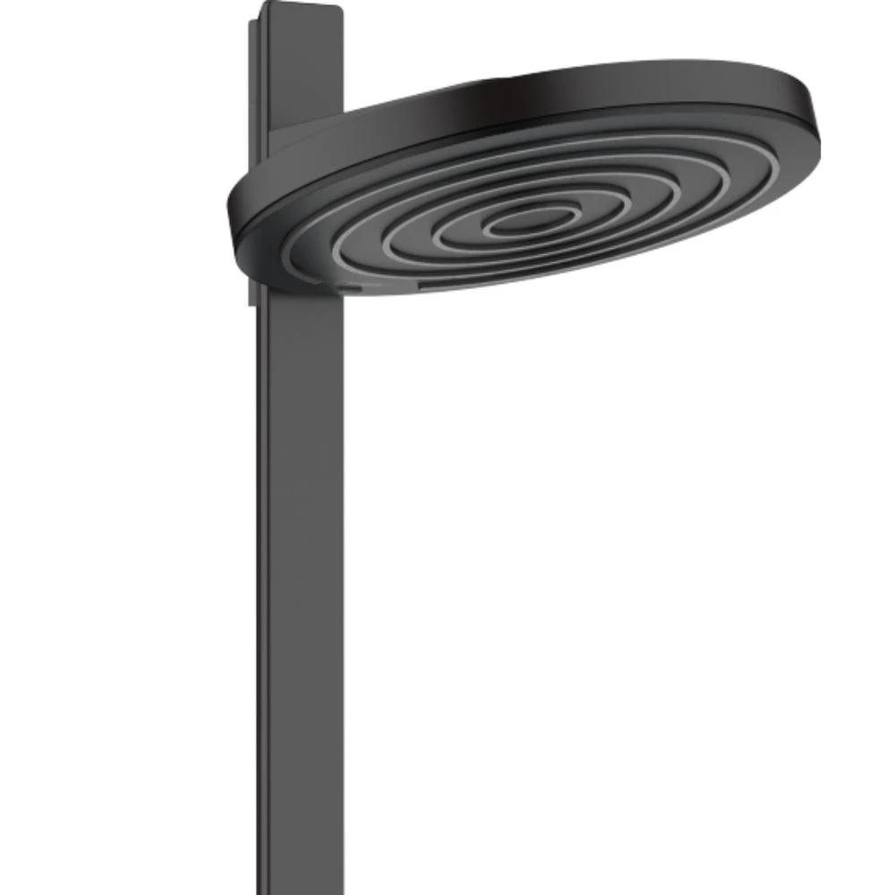 Ảnh Sen tắm cây Hansgrohe 24240670 4