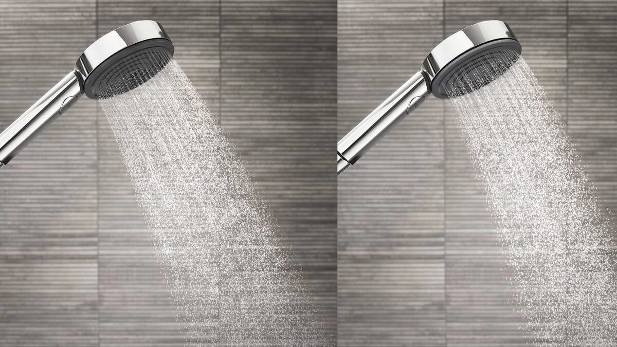 Ảnh Sen tắm cây Hansgrohe 26186000 3