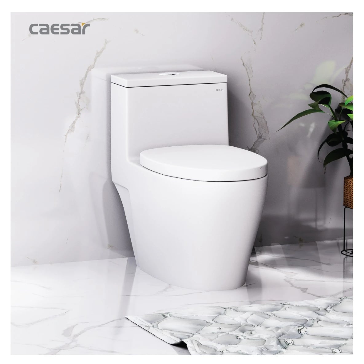 Ảnh Bồn cầu thông minh Caesar C1356F + TAF060 3
