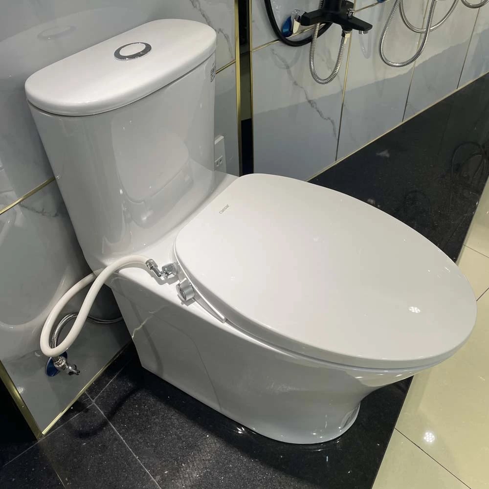 Ảnh Bồn cầu thông minh Caesar C1395F + TAF060 3